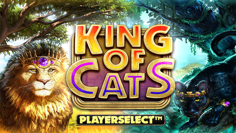 King Of Cats Screenshot