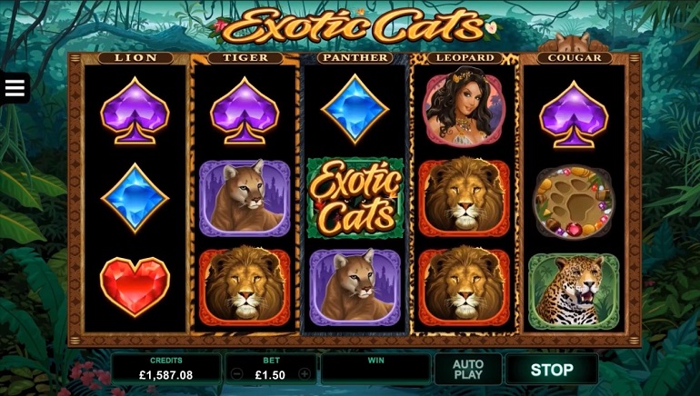 Vulkan Vegas Casino स्क्रीनशॉट 3